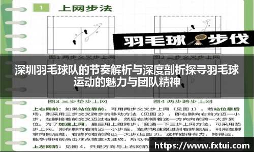 深圳羽毛球队的节奏解析与深度剖析探寻羽毛球运动的魅力与团队精神